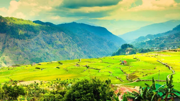 Terrazze di riso nelle Filippine — Foto Stock