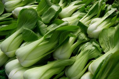 Temiz Pak Choi lahana Birmingham city piyasa