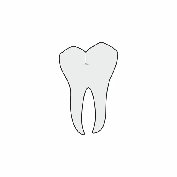 Desenho de vetor de dente molar —  Vetores de Stock