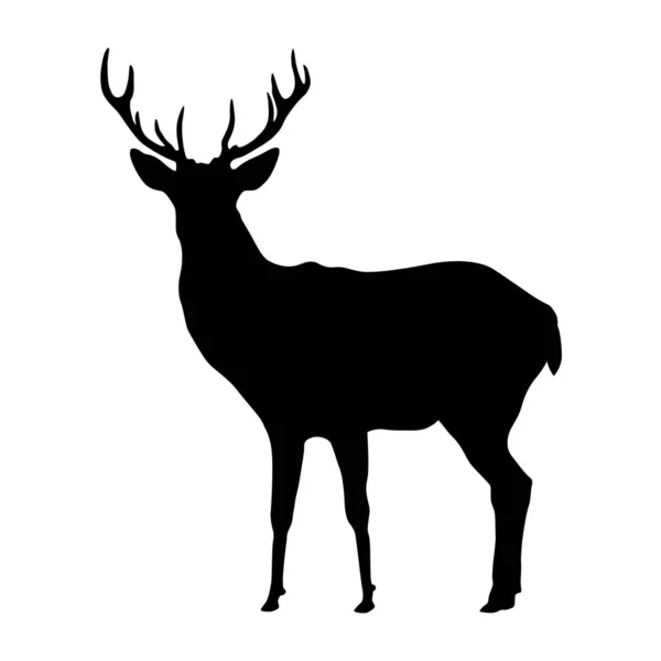 Forma Del Cervo Disegno Vettoriale Isolato Sfondo Bianco — Vettoriale Stock