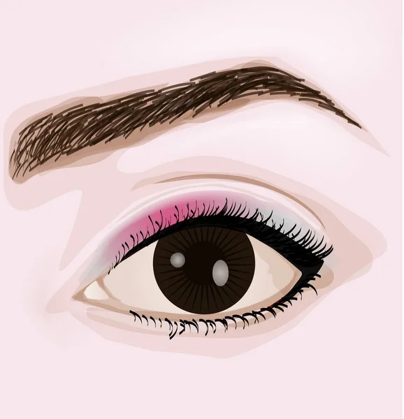 Žena hnědé oko — Stockový vektor