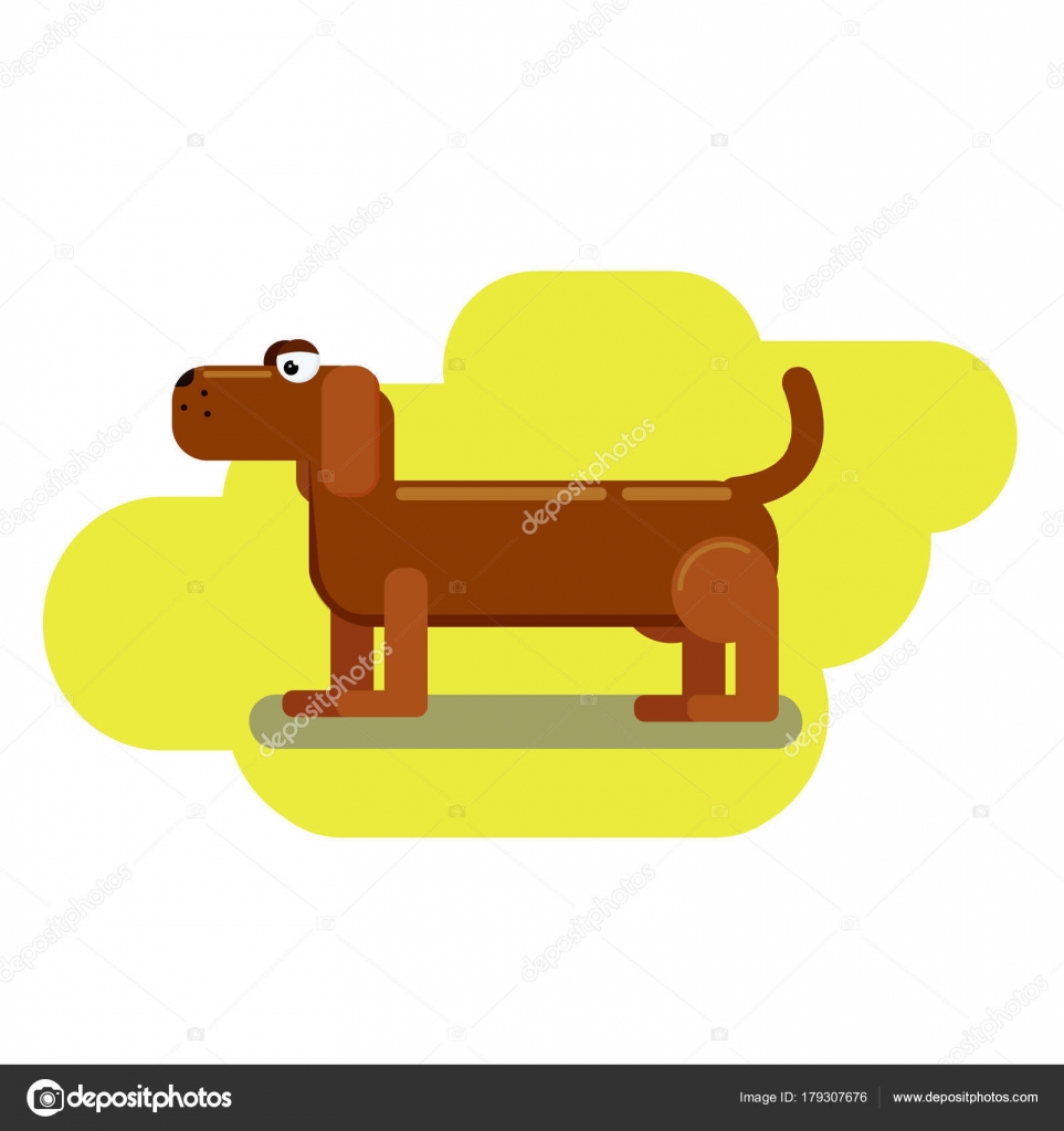 Carattere Bassotto Lungo Un Cane Isolato Per Il Vostro