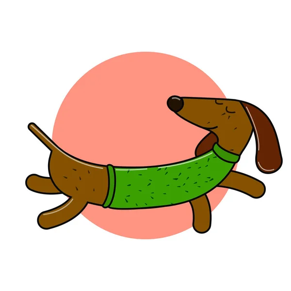 Carácter largo de salchicha. Un perro aislado para tu diseño . — Vector de stock