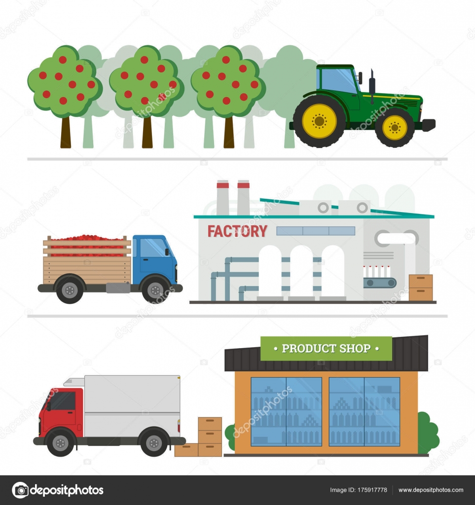 Etapas de producción y transformación del zumo — Vector de