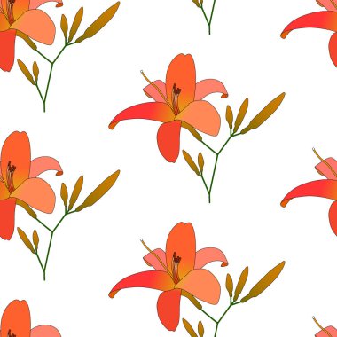 Çiçek lilyum çiçek desenli vektör