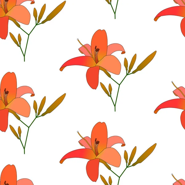 Çiçek lilyum çiçek desenli vektör