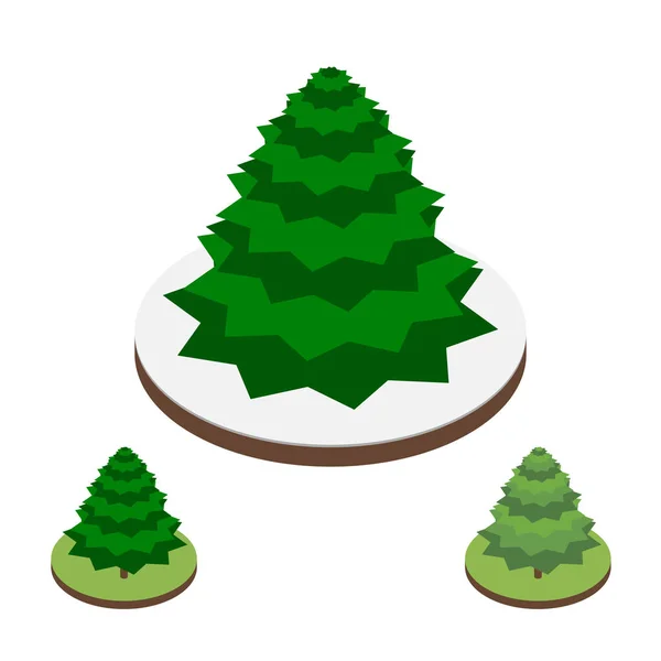 Fir-tree vector illustration in isometric style — Stock Vector