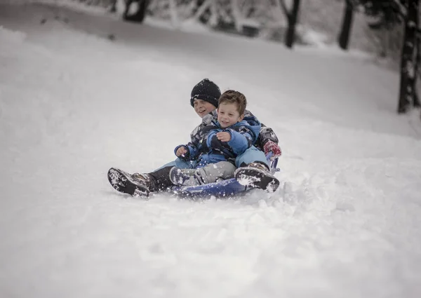 Frères luge en bas de la colline — Photo