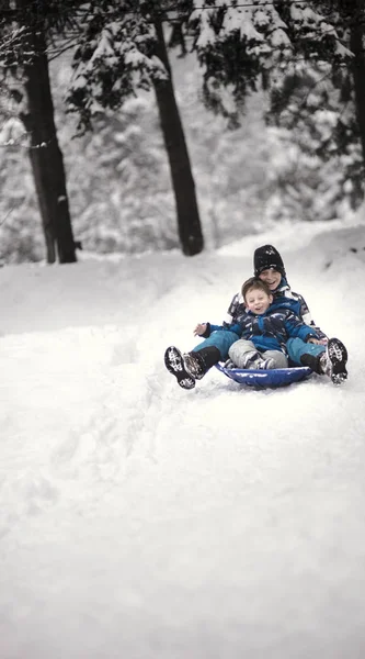 두 형제의 겨울 재미 — 스톡 사진