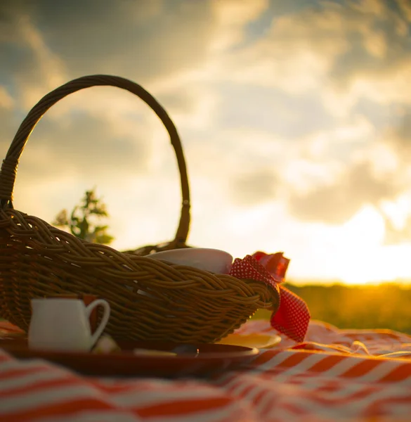 Picnic basket in the meadow — Stock Photo, Image