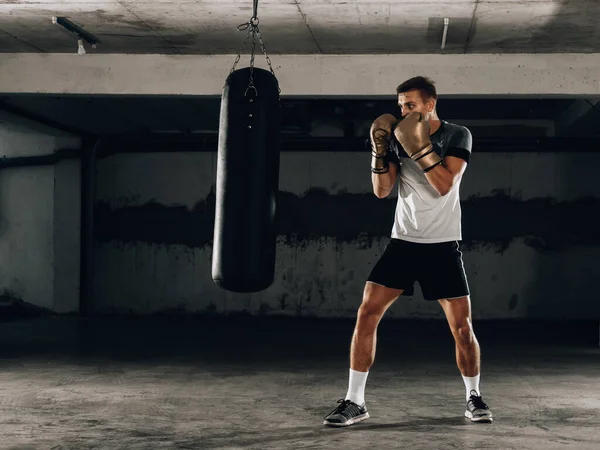 Male boxer in boxing gloves training with punching bag