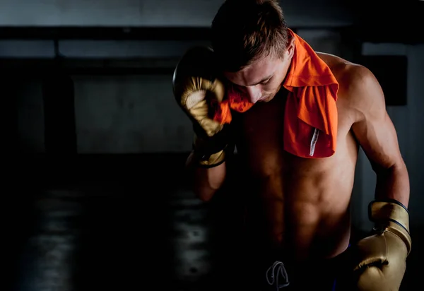 Jovem muscular em luvas de boxe — Fotografia de Stock