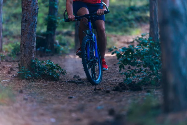 Man on mountain bike rides on the trail through the woods while — Stock Photo, Image