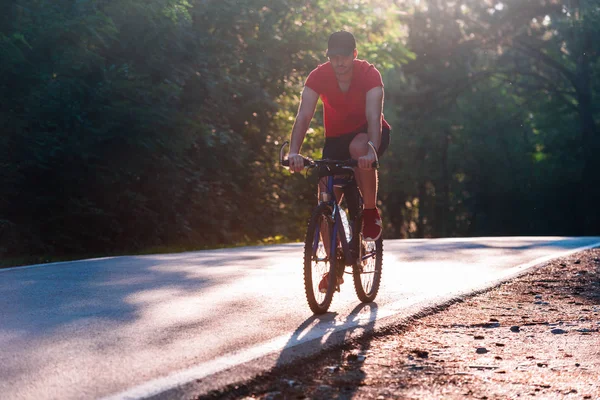 Cyklista Jízda na kole lesem při západu slunce — Stock fotografie