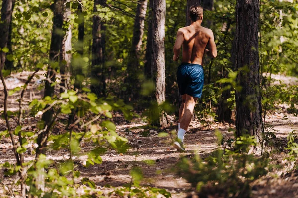 健康的男人在山路上跑步 运动员在山路上进行马拉松训练的后视镜 — 图库照片