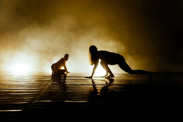 Artistas Danza Contemporánea Clase Práctica Danza —  Fotos de Stock