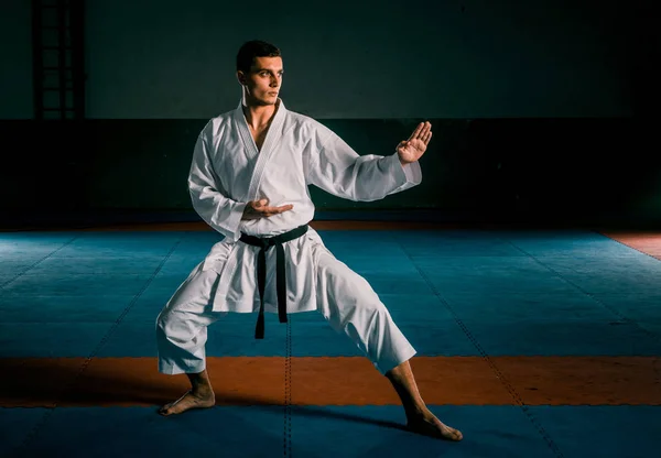 Lutador Karatê Masculino Executando Chute Isolado Fundo Escuro Ginásio — Fotografia de Stock