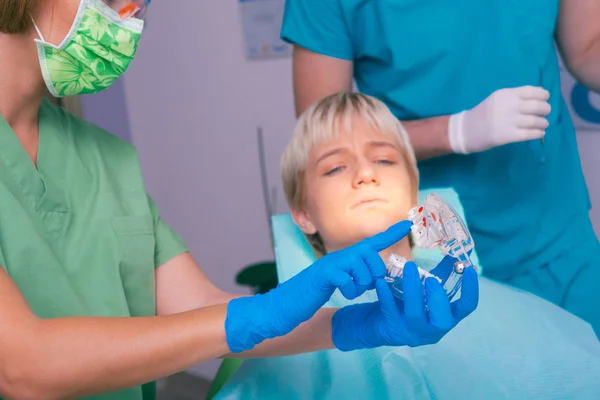 一位女牙医正在向她的病人展示假牙颌骨 — 图库照片