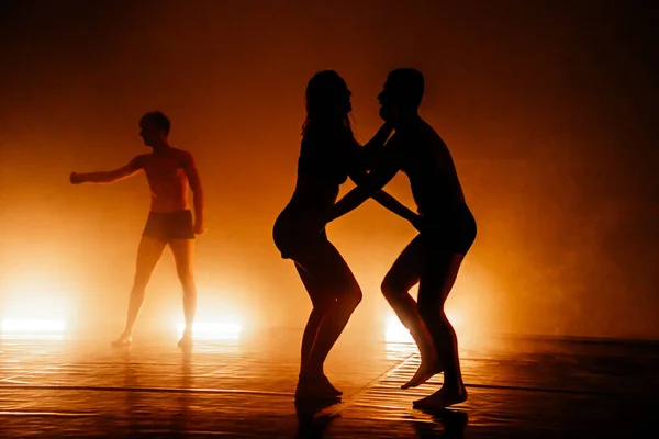 Giovane Gruppo Balletto Durante Una Pratica Danza Studio — Foto Stock