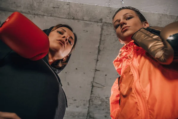 Untere Ansicht Von Zwei Boxerfreundinnen Die Einer Garage Mit Boxausrüstung — Stockfoto