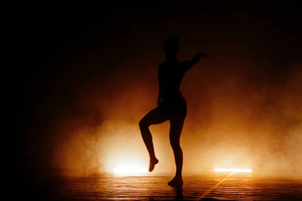 Pareja Mujeres Flexibles Realizando Movimiento Danza Artística — Foto de Stock