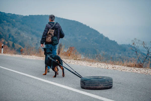 Mężczyzna Prowadzący Psa Smyczy Oponą Samochodu Przywiązaną Nim Celu Ćwiczeń — Zdjęcie stockowe