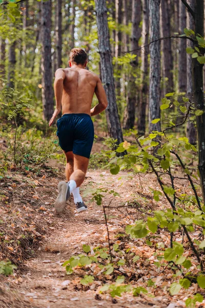 Ultra Marathonloper Trail Met Vastberadenheid Uitoefening Voor Fitness Een Gezonde — Stockfoto