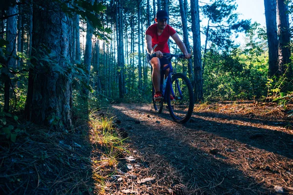 骑自行车的男人在日落时分骑自行车在穿过树林的路上 — 图库照片