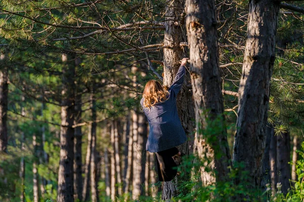 Young Woman Climbing Ona Tree Green Woods Having Fun — Stock Photo, Image