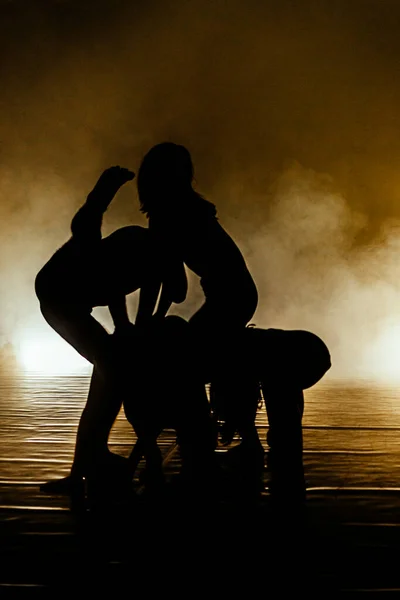 Grupo Hombres Mujeres Flexibles Que Realizan Movimiento Danza Artística —  Fotos de Stock