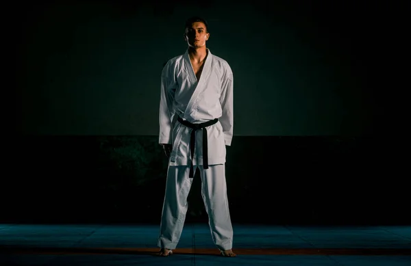 Artes Marciales Karate Fighter Está Mirando Cámara Aislado Sobre Fondo — Foto de Stock