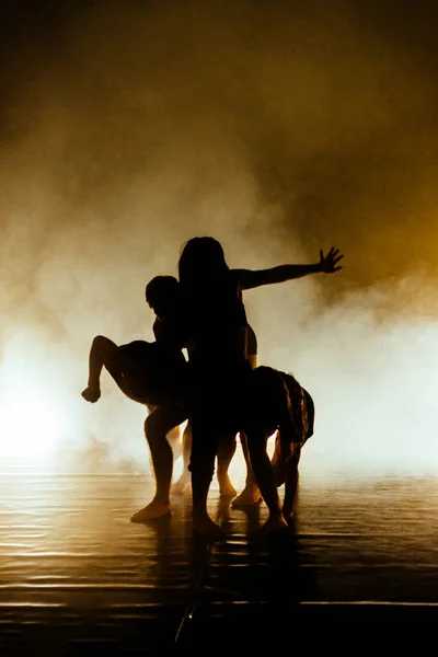 Ballerini Sottili Flessibili Che Eseguono Elemento Ginnastica Danza — Foto Stock