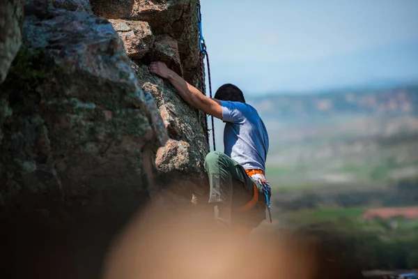 Genç Kurt Arka Planda Güzel Bir Manzarayla Kayaya Tırmanıyor — Stok fotoğraf