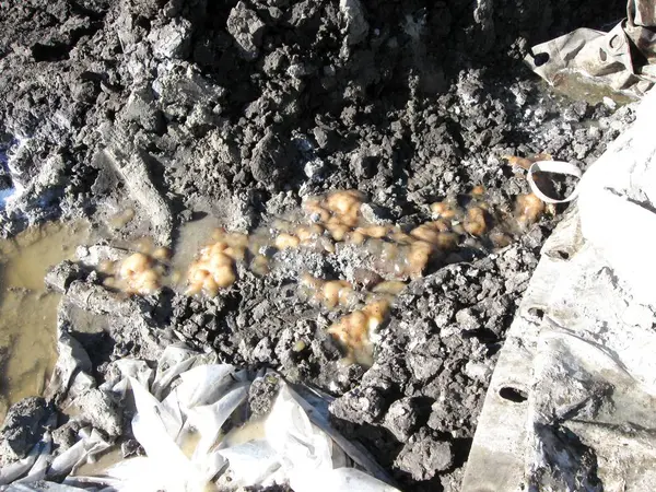 Petrol kuyuları revizyon tamamladıktan sonra kirlenmiş toprak