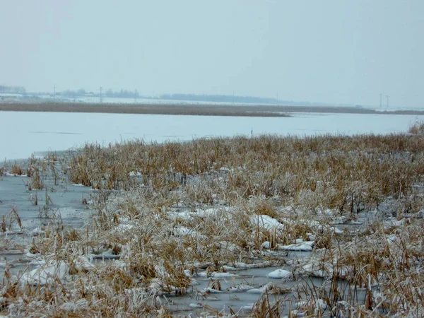Kış manzarası göl buz bağlı