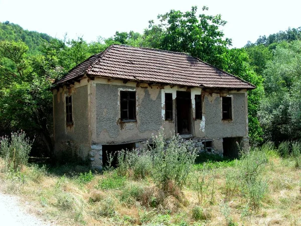 Dağ ormanları tamamen harap başında evi terk