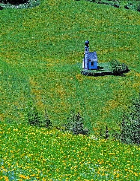 Güzel çim ve karahindiba dolu dağ Vadisi Kilisesi