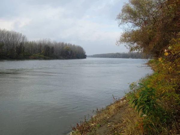 Paisaje Otoñal Con Río Tisza Serbia Provincia Vojvodina — Foto de Stock