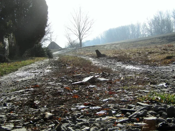 Sisli ve serin sabahlarda kalabalık bir yerin dışındaki toprak yola bak.