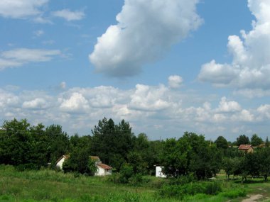 Sırbistan 'ın Voyvodina eyaletinin kırsal kesiminde yaz günü