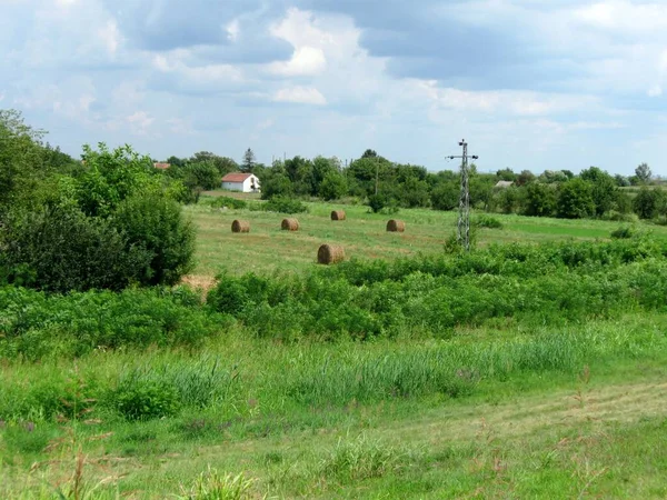 Flat Land Arable Land Serbia Province Vojvodina — Stock Photo, Image