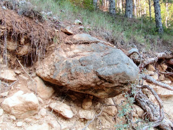 Waldklippe Alten Gebirge Südosten Serbiens — Stockfoto