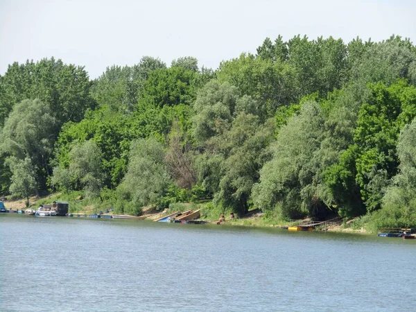 Vista Hermosa Orilla Del Río Tisa Banat Provincia Voivodina Serbia — Foto de Stock