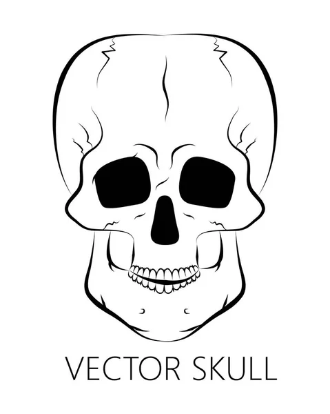 siyah-beyaz insan kafatası
