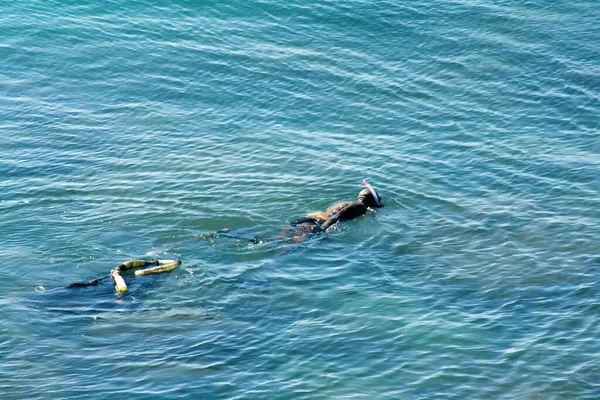 ゴム製のスーツを着た男が海の底に牡蠣を集め ネットで折り畳む — ストック写真