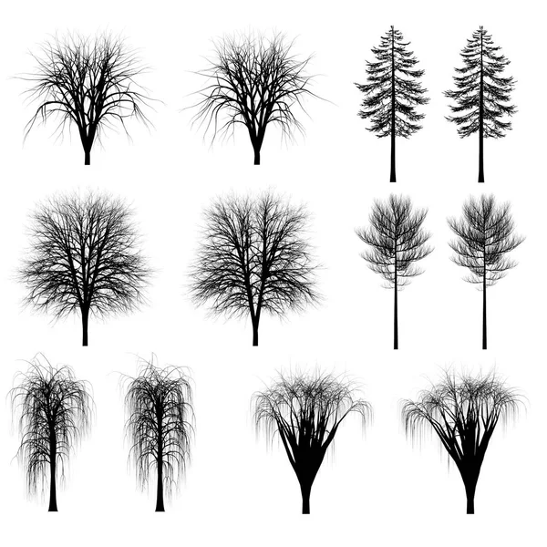 Ağaçlar, çalılar siluetleri kümesi — Stok fotoğraf