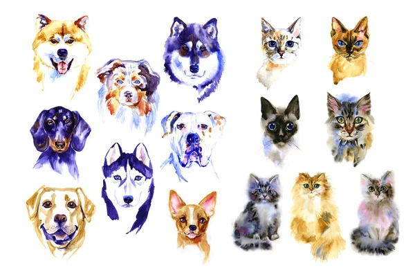 Hond en katten hand getekende aquarel kleurrijke illustraties set — Stockfoto