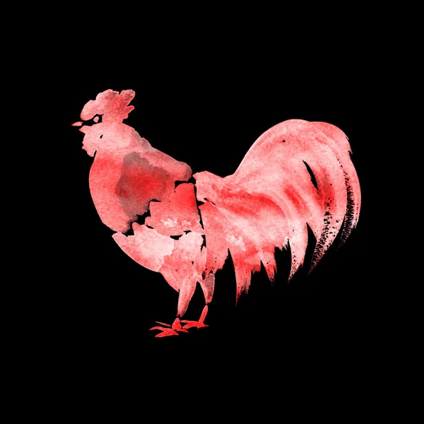Ilustrasi cat air ayam diisolasi pada latar belakang hitam — Stok Foto