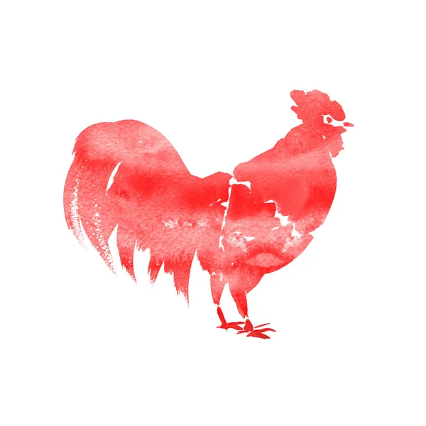 Gallo acquerello illustrazione isolato su uno sfondo bianco — Foto Stock