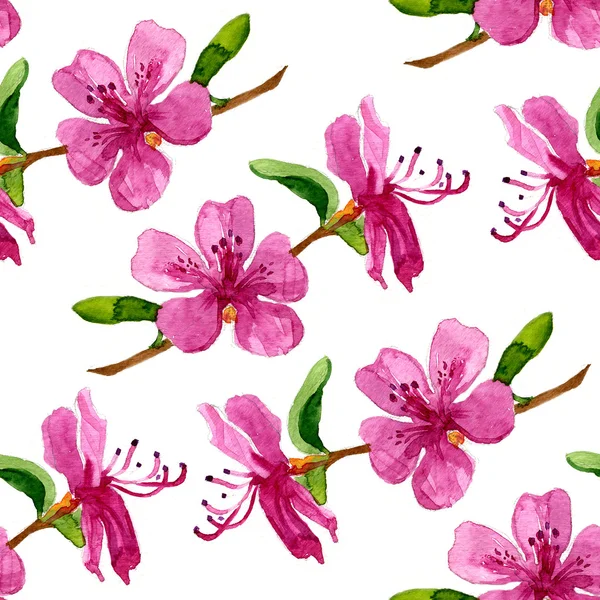 Λουλούδι του Λαμπραντόρ τσάι για απρόσκοπτη μοτίβο — Φωτογραφία Αρχείου